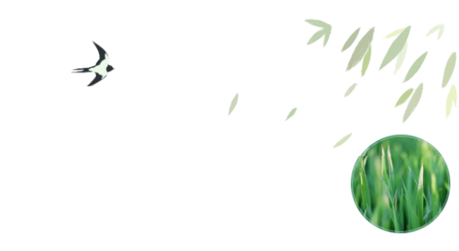 Ա�����ح�����ߡ����������˶���������