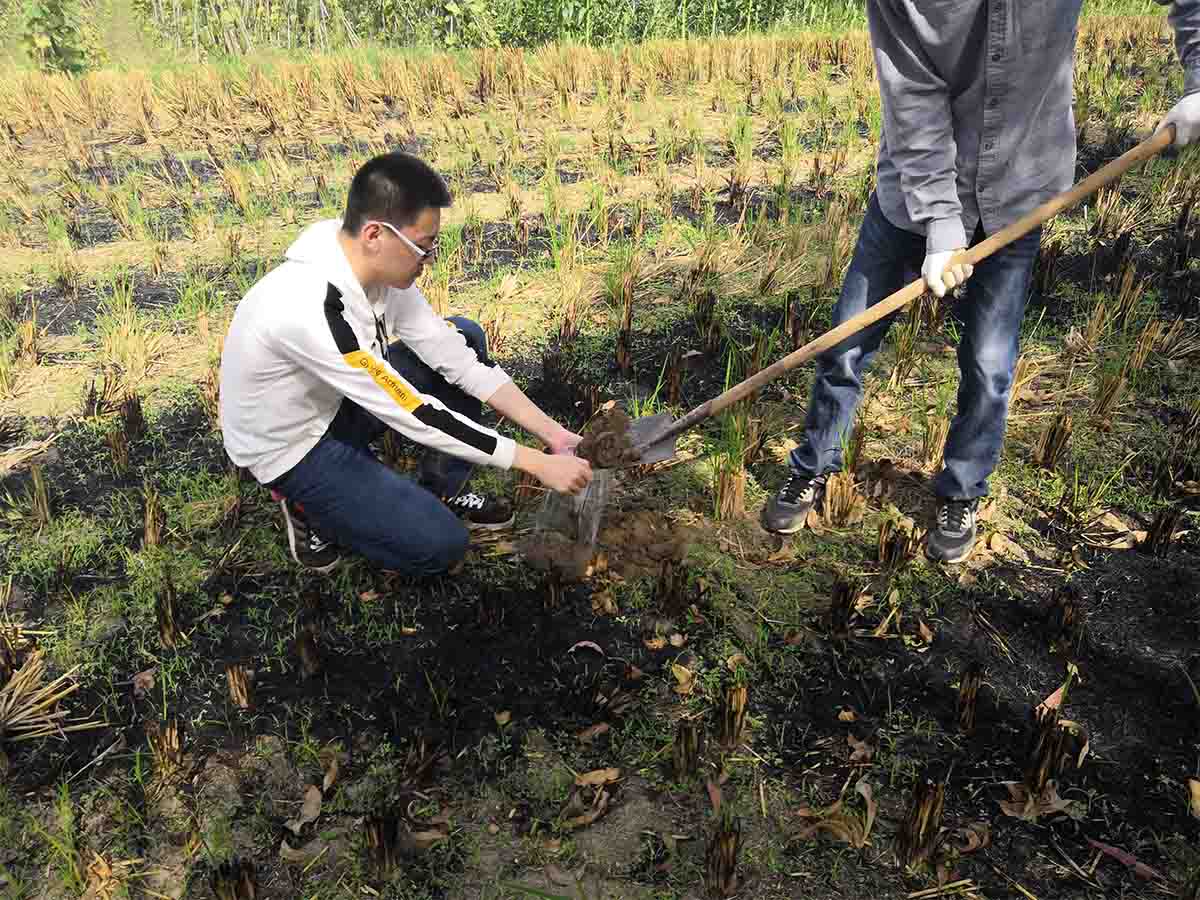 ��������Ʒ��������Ŀ