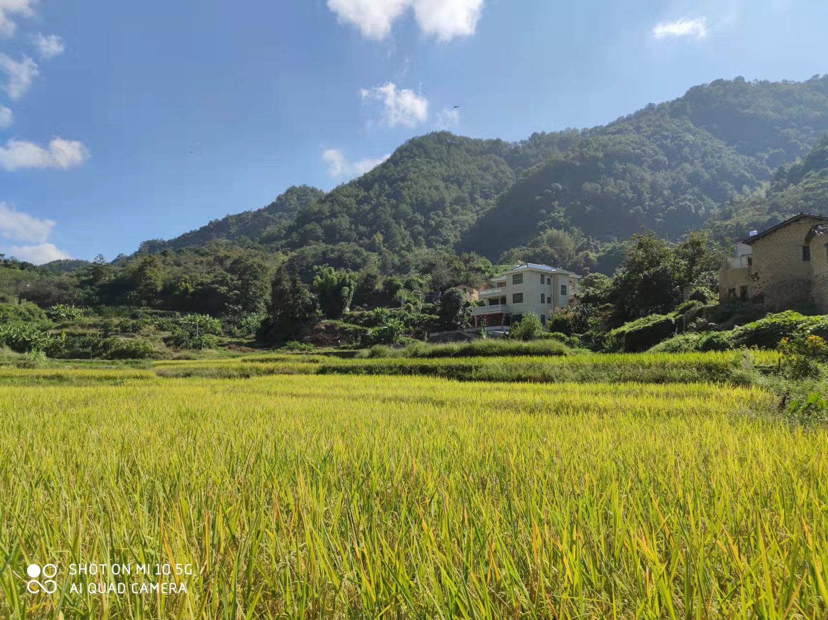 �ָ���������������Ŀ��ô����AG��˾�л�˵