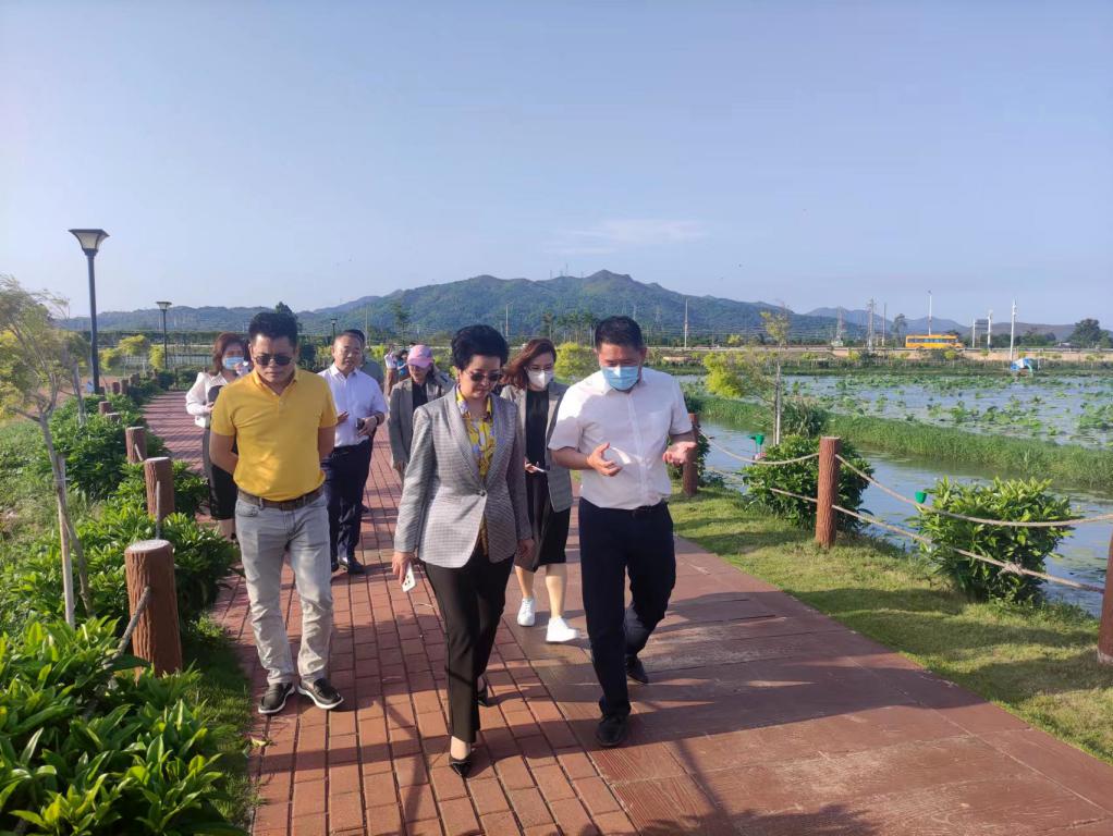 ʡ��̬�޸�Э����ֵ�᳤��λAG��˾���Ŵ��Ӹ���βȫ���������ξ����ں��Ե���Ŀ����