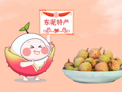 ����AG��˾حһ���С����¡�����֦��