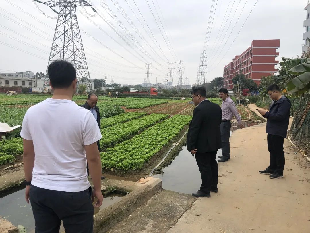 ��������������AG��˾һֱ���𾢣�