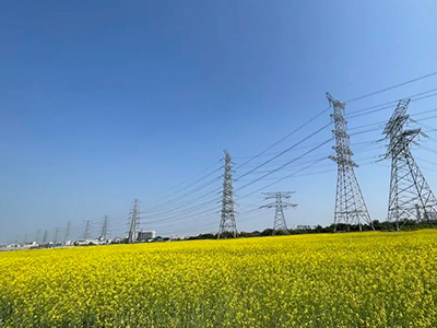 AG��˾����ح���ӵ��޶�ݸ��ָ�������ʢ��ӭ������