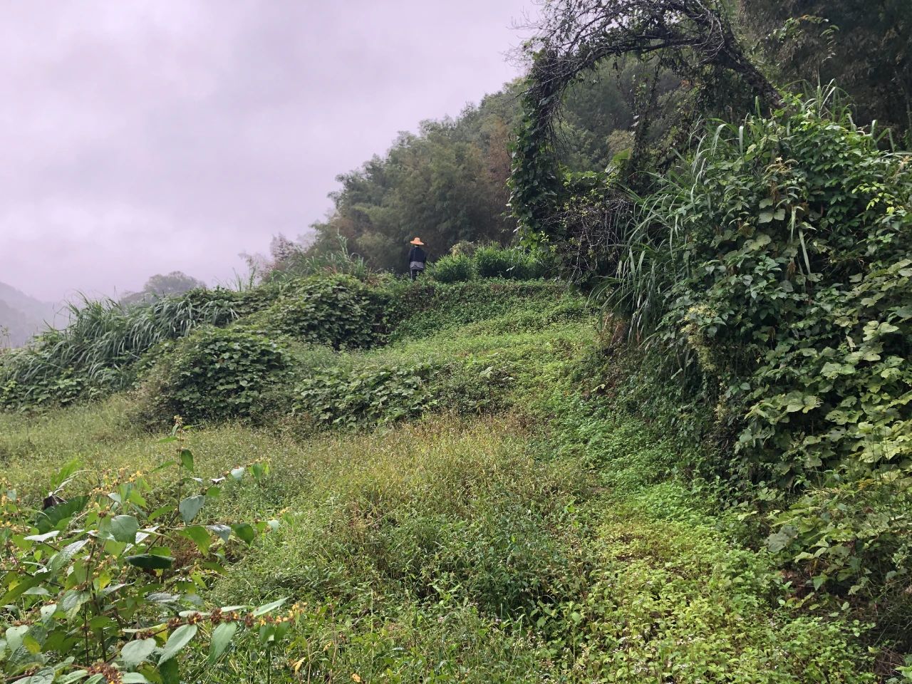 AG��˾���� | ��˾����������Ŀ�����ٵ��������ĵر��������ǻ�÷ᾰ