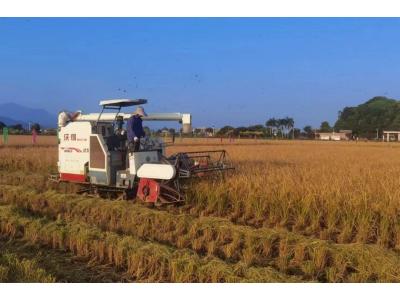 AG��˾���������빫˾�ٻ񡰸��ر���������ʿ��λ����